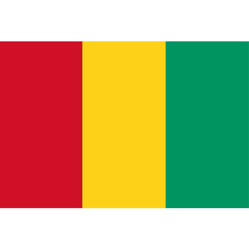 Guinea Flag