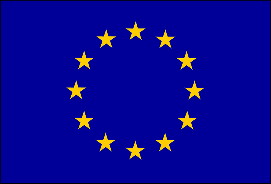 European Union (EU) Flag (Printed)