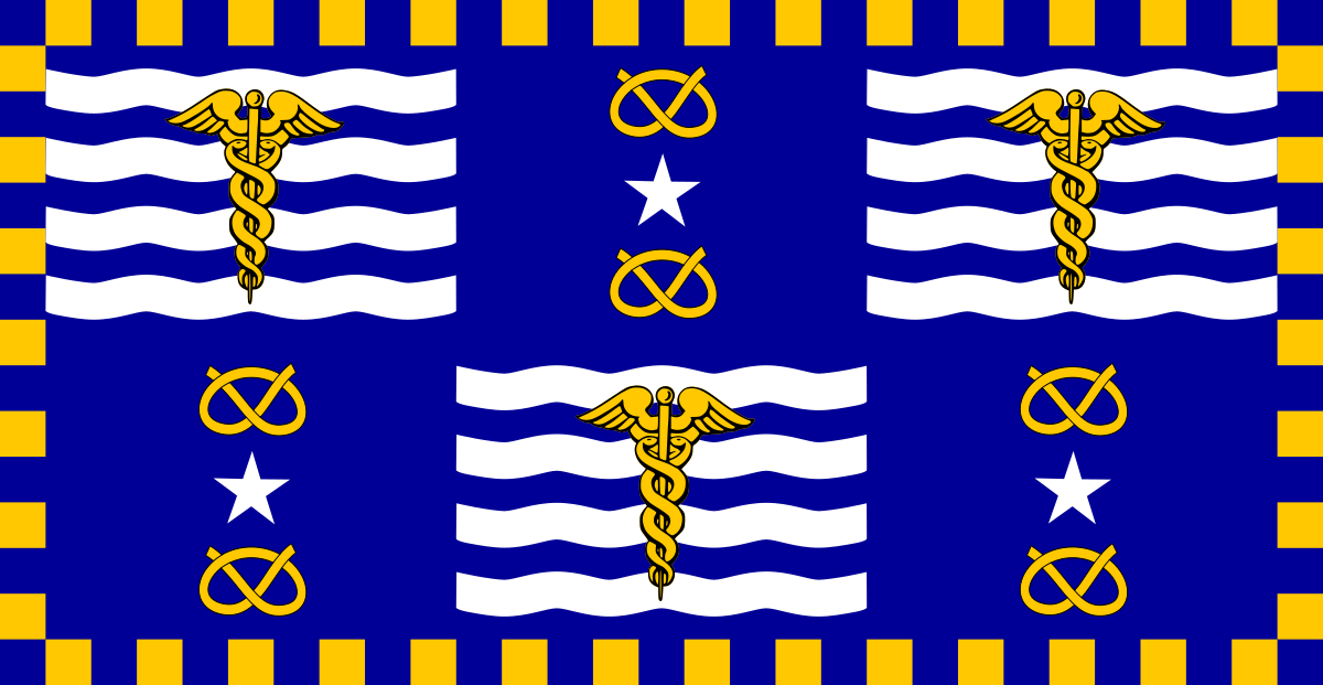 Brisbane City Flag (Printed)