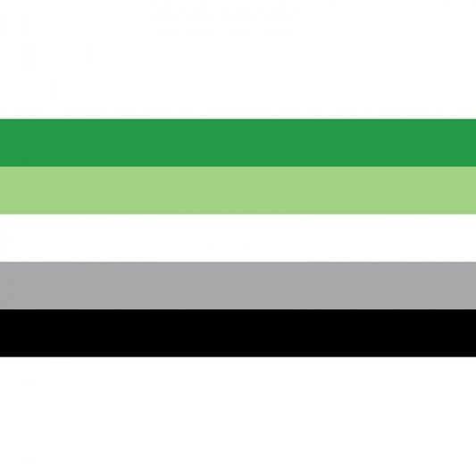 Aromantic Flag