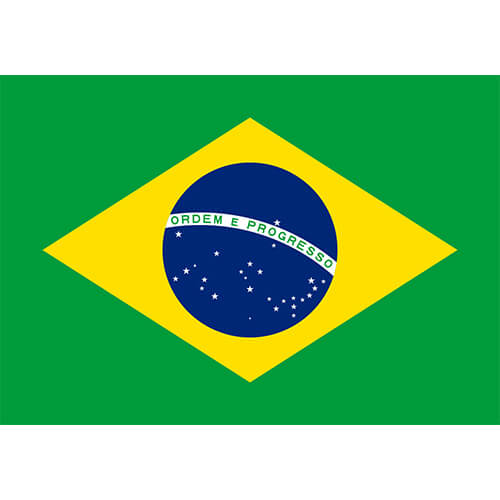 Brazil Flag