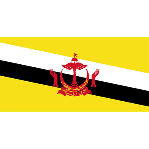 Brunei Flag