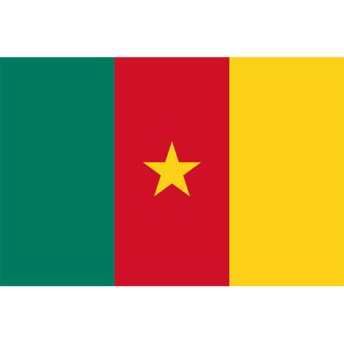 Cameroon Flag