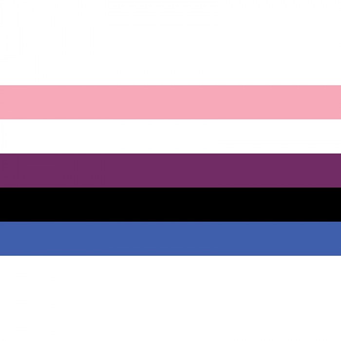 Gender Fluid Flag