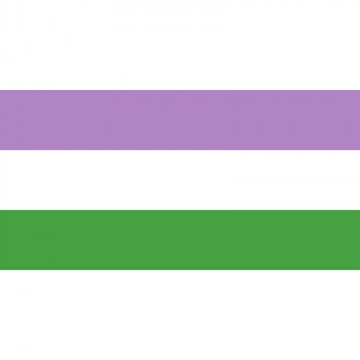 Gender Queer Flag