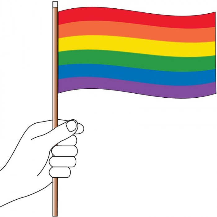 Rainbow Handwaver Flag