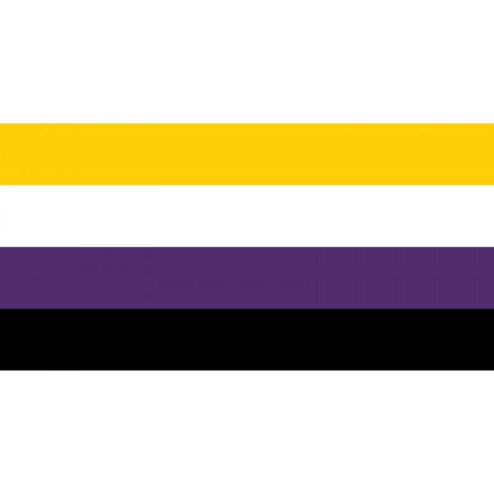 Non Binary Flag