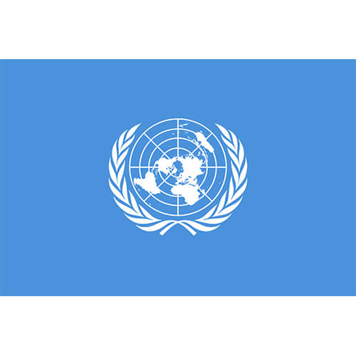 United Nations Flag (UN)