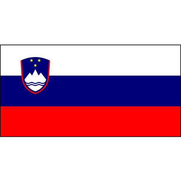 Slovenian Flag