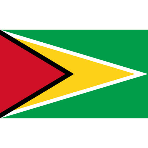 Guyana Flag