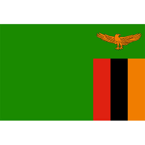 Zambia Flag