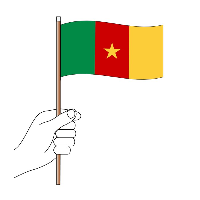 Cameroon Handwaver Flag