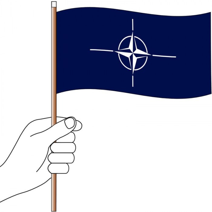 NATO Handwaver Flag