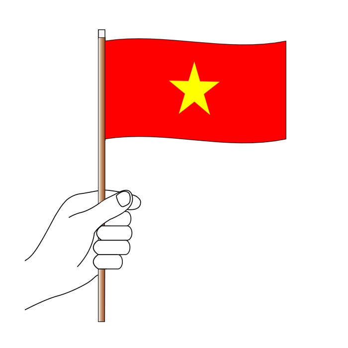 Vietnam Handwaver Flag