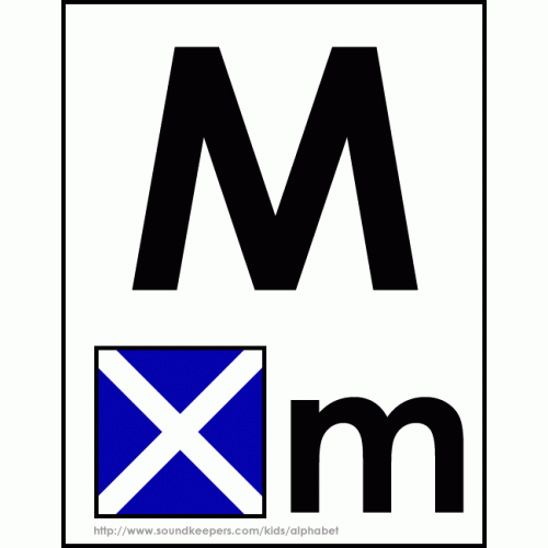 M - Mike Code Flag.