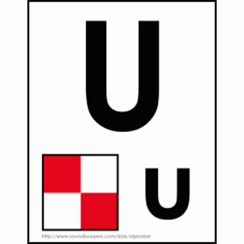 U - Uniform Code Flag.