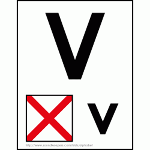 V - Victor Code Flag.