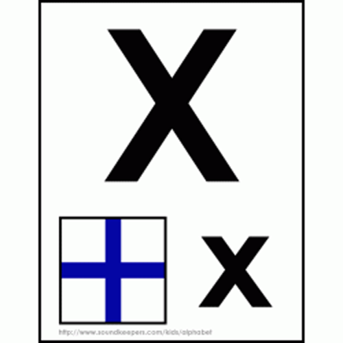 X - Xray Code Flag.