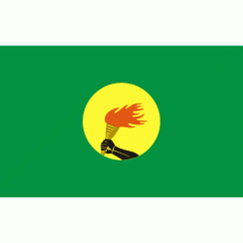 Zaire Flag