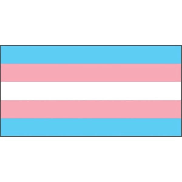 Transgender Flag – Flags Of All Nations